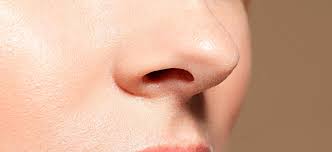 Rhinology and Endoscopic Nasal Diagnostics